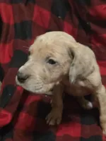 processed/be678ab2-0d3b-460c-9710-fc57d73ce427/listing/6ce8d282-c060-40cb-b9d2-b21797c1a9dc/bbc8d2db-2ba9-4599-a2c7-8ffc1d099b0c