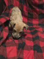 processed/be678ab2-0d3b-460c-9710-fc57d73ce427/listing/97c9730b-891e-473d-85a1-d2583c47fd90/8358c535-8d74-49a8-8059-fcfdd65e9ecd