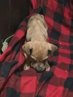 processed/be678ab2-0d3b-460c-9710-fc57d73ce427/listing/97c9730b-891e-473d-85a1-d2583c47fd90/b20cc569-9944-48f0-a976-7bac6291c5a0