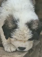 processed/be678ab2-0d3b-460c-9710-fc57d73ce427/listing/9aa6551a-8a27-4f36-b505-66530f94b91e/8c4284ff-0ccb-47c3-b743-316ce034e1b1