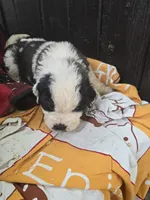 processed/be678ab2-0d3b-460c-9710-fc57d73ce427/listing/bd27c157-cabb-4a71-bfc4-5231613127e5/52809057-36bb-40e2-9e2f-c85a826b3d11