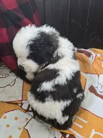 processed/be678ab2-0d3b-460c-9710-fc57d73ce427/listing/bd27c157-cabb-4a71-bfc4-5231613127e5/632346e2-4426-4d08-9fc4-ef5e55caeb1a