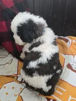 processed/be678ab2-0d3b-460c-9710-fc57d73ce427/listing/bd27c157-cabb-4a71-bfc4-5231613127e5/81b54ac1-c914-4a98-bbb1-b89d1663f658