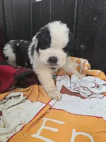 processed/be678ab2-0d3b-460c-9710-fc57d73ce427/listing/bd27c157-cabb-4a71-bfc4-5231613127e5/c648e65b-74db-48a3-9279-80e4a96b057a