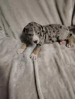 processed/be678ab2-0d3b-460c-9710-fc57d73ce427/listing/c0aaa09b-c497-4679-9646-96d42c83eaae/5e1efe30-cc61-4a37-9fdd-1cf9ebb017a7