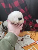 processed/be678ab2-0d3b-460c-9710-fc57d73ce427/listing/c6845774-bfcd-4114-94ae-a6264b278bac/67bfac24-9ca7-4706-aad7-fc602ab351ab