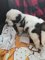 processed/be678ab2-0d3b-460c-9710-fc57d73ce427/listing/c6845774-bfcd-4114-94ae-a6264b278bac/710e45ba-4bfa-4725-9cfd-eaaa4c411bb3