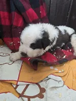 processed/be678ab2-0d3b-460c-9710-fc57d73ce427/listing/dfae171a-3a54-4213-8d35-1452aa03342a/c268e4a2-9116-449d-8b0c-4ff70823eb30