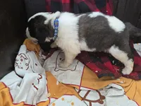 processed/be678ab2-0d3b-460c-9710-fc57d73ce427/listing/e3352c27-827b-4535-8211-5a6428a34605/0489f3da-56b8-482a-adea-e4785af6facd