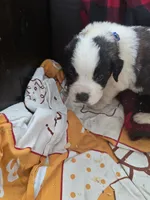 processed/be678ab2-0d3b-460c-9710-fc57d73ce427/listing/e3352c27-827b-4535-8211-5a6428a34605/c4ac4dfd-2532-4591-8d2c-cf3001be455f