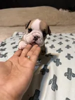 processed/be7eff36-7550-4435-aaad-f408d4b3abde/listing/01f6a689-e260-4902-8079-47b5c376386d/75091601-c05c-4fb6-9726-579b7aab5082