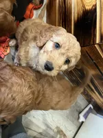 processed/be8d889a-a29f-4716-b1c0-bd987bf32be9/listing/57535c60-f55a-4122-802e-97dc894fab50/0eb1d8ec-e14c-4068-af30-5650236ea3f0