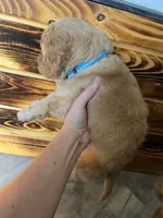 processed/be8d889a-a29f-4716-b1c0-bd987bf32be9/listing/57535c60-f55a-4122-802e-97dc894fab50/40baac6a-80a4-4b42-99fc-fa47f43573d2