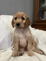 processed/be8d889a-a29f-4716-b1c0-bd987bf32be9/listing/57535c60-f55a-4122-802e-97dc894fab50/f04bbc2d-4e0f-432b-86bf-b7fb75f4b4b8