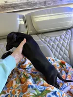 processed/be8f5df0-0ef8-4106-9ffb-470d922a4f24/listing/6009b807-242a-4273-9fab-756ec068b0ae/808ce084-8809-4861-bc8c-7d13a4a20157