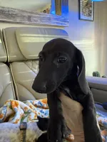 processed/be8f5df0-0ef8-4106-9ffb-470d922a4f24/listing/6009b807-242a-4273-9fab-756ec068b0ae/bb03017d-e2c3-4410-8c44-6d2751c73c88