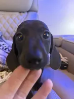 processed/be8f5df0-0ef8-4106-9ffb-470d922a4f24/listing/6009b807-242a-4273-9fab-756ec068b0ae/bcec2e0b-1acc-48bf-a4c3-59d7c7dab39b