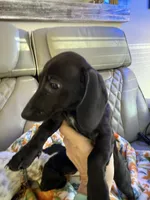 processed/be8f5df0-0ef8-4106-9ffb-470d922a4f24/listing/6009b807-242a-4273-9fab-756ec068b0ae/c374cbb6-f178-417f-a782-f0ae43a46dce