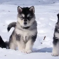 processed/be96d4ab-6181-4681-aa59-4a702ca49361/facility/4d963cac-d50f-4903-842f-3cc27e4f1da0