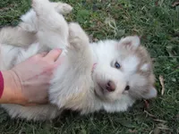 processed/be96d4ab-6181-4681-aa59-4a702ca49361/listing/096b8d27-87bb-41f4-b2f7-209363d16c44/62b90f86-5bb8-4559-9d2a-a727a0a35f8d