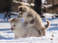 processed/be96d4ab-6181-4681-aa59-4a702ca49361/listing/096b8d27-87bb-41f4-b2f7-209363d16c44/9b624ad7-28bf-4424-b731-aaab81e2aaec