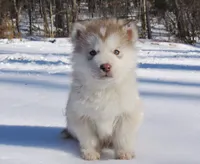 processed/be96d4ab-6181-4681-aa59-4a702ca49361/listing/096b8d27-87bb-41f4-b2f7-209363d16c44/a23f767a-9518-43ac-b864-9127c09557e2