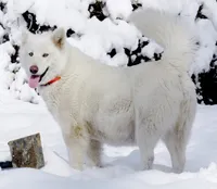 processed/be96d4ab-6181-4681-aa59-4a702ca49361/listing/096b8d27-87bb-41f4-b2f7-209363d16c44/a2e7fd9c-d173-4a8a-ad8a-ac83b304836e