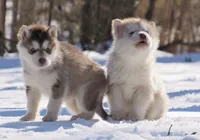 processed/be96d4ab-6181-4681-aa59-4a702ca49361/listing/096b8d27-87bb-41f4-b2f7-209363d16c44/f4d033ec-123a-4d65-b42a-b54ae639b073