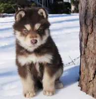 processed/be96d4ab-6181-4681-aa59-4a702ca49361/listing/9c698abc-1361-412b-97b3-e4fa7a15c24e/0bb1ab50-bedf-4905-9a76-fe6596104a0f