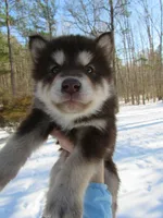 processed/be96d4ab-6181-4681-aa59-4a702ca49361/listing/9c698abc-1361-412b-97b3-e4fa7a15c24e/74877c85-0765-46b3-aba3-f62c6d0fa452