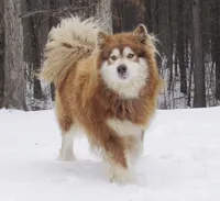 processed/be96d4ab-6181-4681-aa59-4a702ca49361/listing/9c698abc-1361-412b-97b3-e4fa7a15c24e/7cbec81f-2b3c-49cd-9032-5a164c14bf87