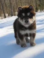 processed/be96d4ab-6181-4681-aa59-4a702ca49361/listing/9c698abc-1361-412b-97b3-e4fa7a15c24e/f391d006-53d2-4d7a-be04-f337b7008dda