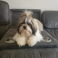 processed/be97805e-ea9a-49f4-bd7f-8bb251c42746/facility/0412fee1-463c-429d-a707-40ca941c3b28