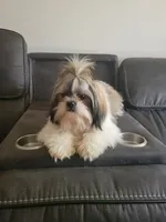 processed/be97805e-ea9a-49f4-bd7f-8bb251c42746/facility/0412fee1-463c-429d-a707-40ca941c3b28