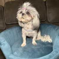 processed/be97805e-ea9a-49f4-bd7f-8bb251c42746/facility/06030ffb-097c-4c60-ab3b-a3db72627a2f