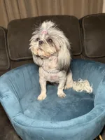 processed/be97805e-ea9a-49f4-bd7f-8bb251c42746/facility/06030ffb-097c-4c60-ab3b-a3db72627a2f