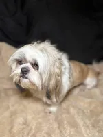 processed/be97805e-ea9a-49f4-bd7f-8bb251c42746/facility/516fe6e7-9663-421b-8b98-736b6e1c3d28