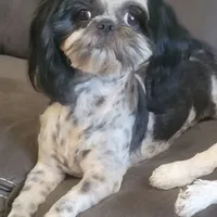 processed/be97805e-ea9a-49f4-bd7f-8bb251c42746/facility/54b2e84e-66b5-4f91-8c7a-ebb8e3634db5