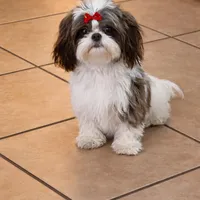 processed/be97805e-ea9a-49f4-bd7f-8bb251c42746/facility/7406956d-c542-42ec-9628-f4f4092262d5