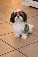 processed/be97805e-ea9a-49f4-bd7f-8bb251c42746/facility/7406956d-c542-42ec-9628-f4f4092262d5