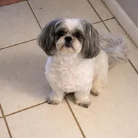 processed/be97805e-ea9a-49f4-bd7f-8bb251c42746/facility/87b092d9-35fd-4fd2-842a-69edac2df189