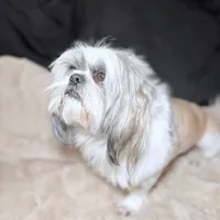 processed/be97805e-ea9a-49f4-bd7f-8bb251c42746/facility/c0f605c5-3e16-4375-abde-06335dc2cb83