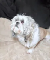 processed/be97805e-ea9a-49f4-bd7f-8bb251c42746/facility/c0f605c5-3e16-4375-abde-06335dc2cb83