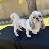 processed/be97805e-ea9a-49f4-bd7f-8bb251c42746/facility/e73b8345-4451-41af-a48e-2e556980b2e7