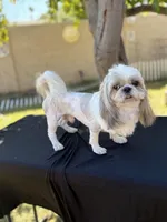 processed/be97805e-ea9a-49f4-bd7f-8bb251c42746/facility/e73b8345-4451-41af-a48e-2e556980b2e7