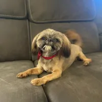 processed/be97805e-ea9a-49f4-bd7f-8bb251c42746/facility/f04ff91f-10cf-4391-b927-2065c490b908