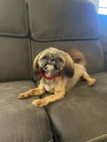 processed/be97805e-ea9a-49f4-bd7f-8bb251c42746/facility/f04ff91f-10cf-4391-b927-2065c490b908