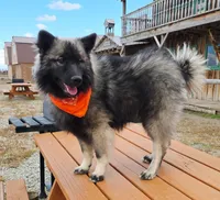 processed/be984631-6886-42c3-b07a-b77572f0fe1d/listing/e1f81cbe-9167-47b3-833f-43b3d10ed543/21c10d0b-2417-49c9-b47e-06170cfbdd28