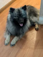 processed/be984631-6886-42c3-b07a-b77572f0fe1d/listing/e1f81cbe-9167-47b3-833f-43b3d10ed543/90b297e5-0703-488d-a2c8-a839e8878f6a