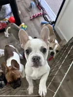 processed/be9c1491-3c99-471e-9648-1c445a85236c/listing/b5b76129-270a-424c-93a7-d2fd633e06e6/4b352060-f4fd-402e-b907-d76bf5c62ac4